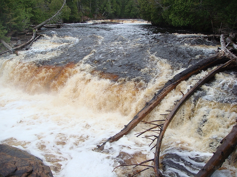260 Memorial Day [2008 May 23].JPG - Scenes from Tahquanemon Falls in the Michigan Upper Peninsula.